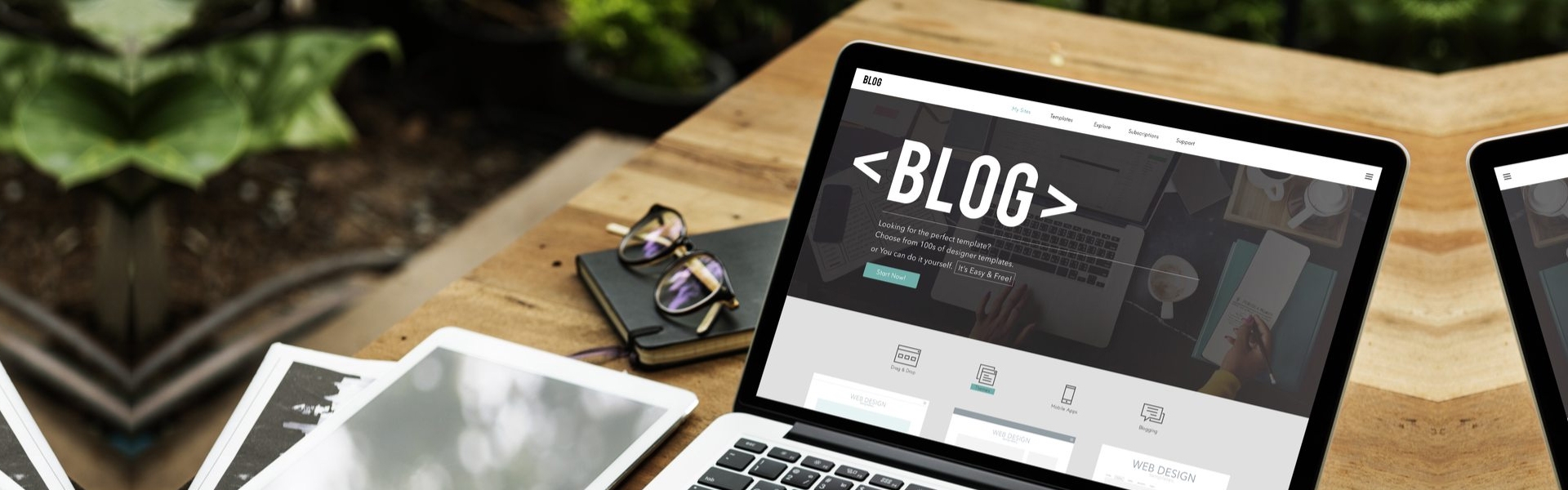 Domain Transferi Nedir? Domain Transferi Nasıl Yapılır?